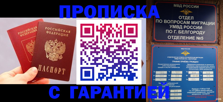 прописка 2025 в Новом Осколе